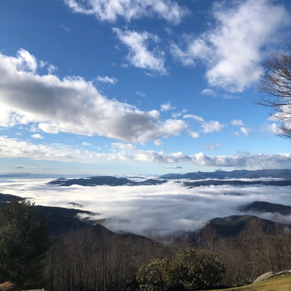 Meet your Posher, Angelica 🌿 - Picture 4 of 4